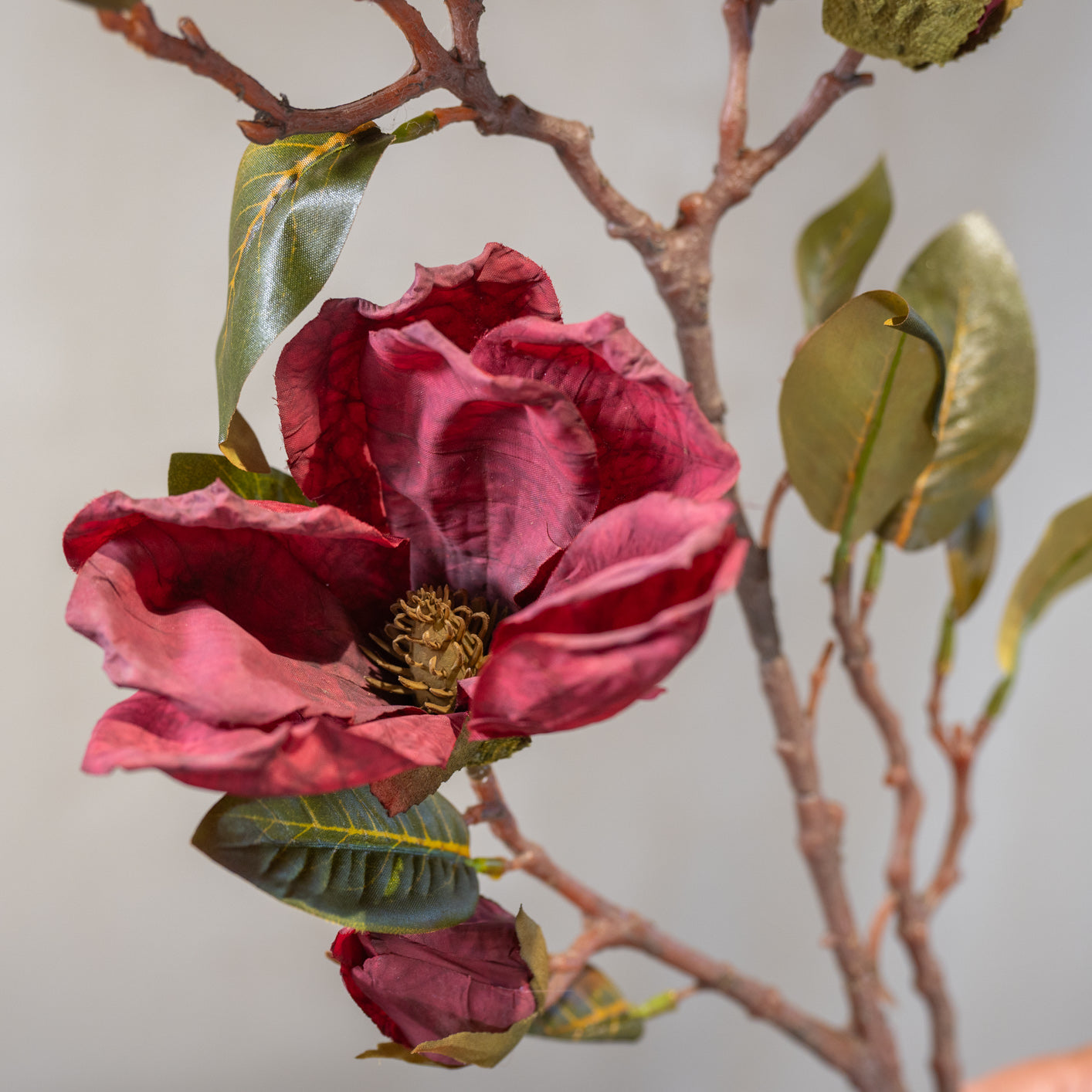 Magnolie