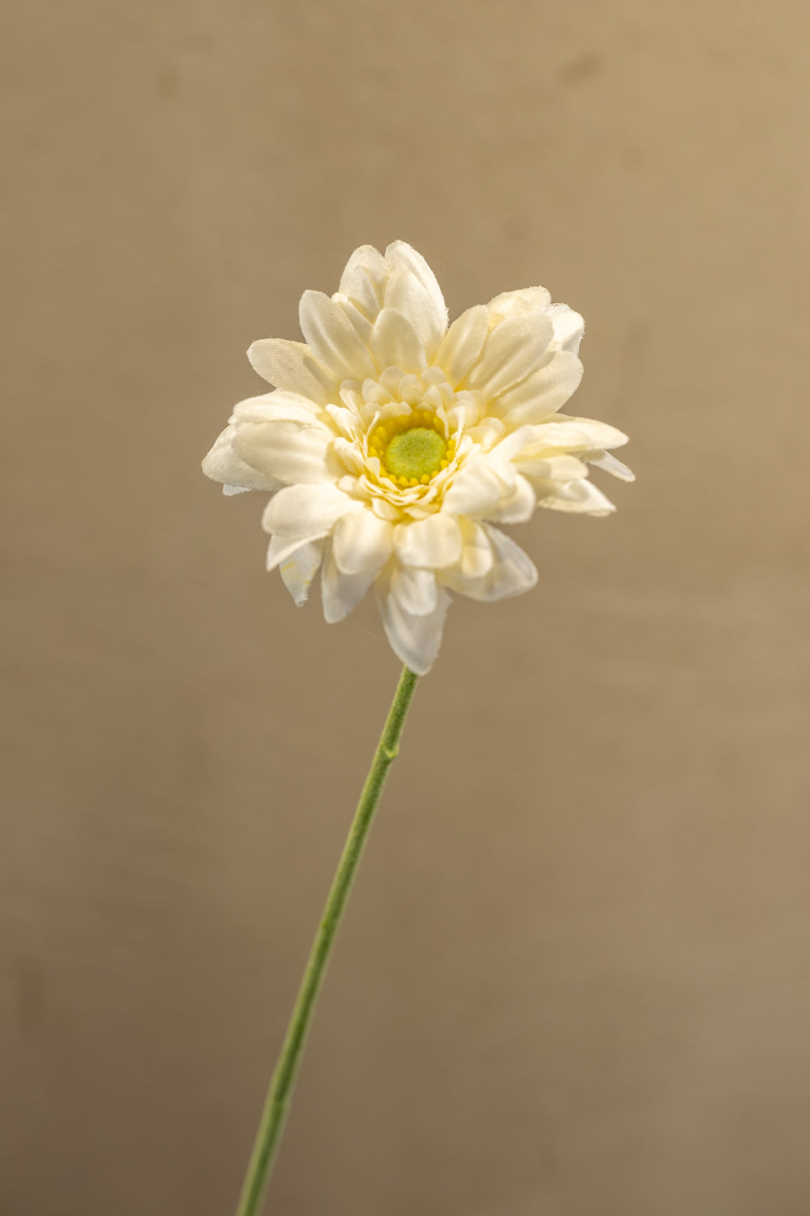 Gerbera mini 47cm
