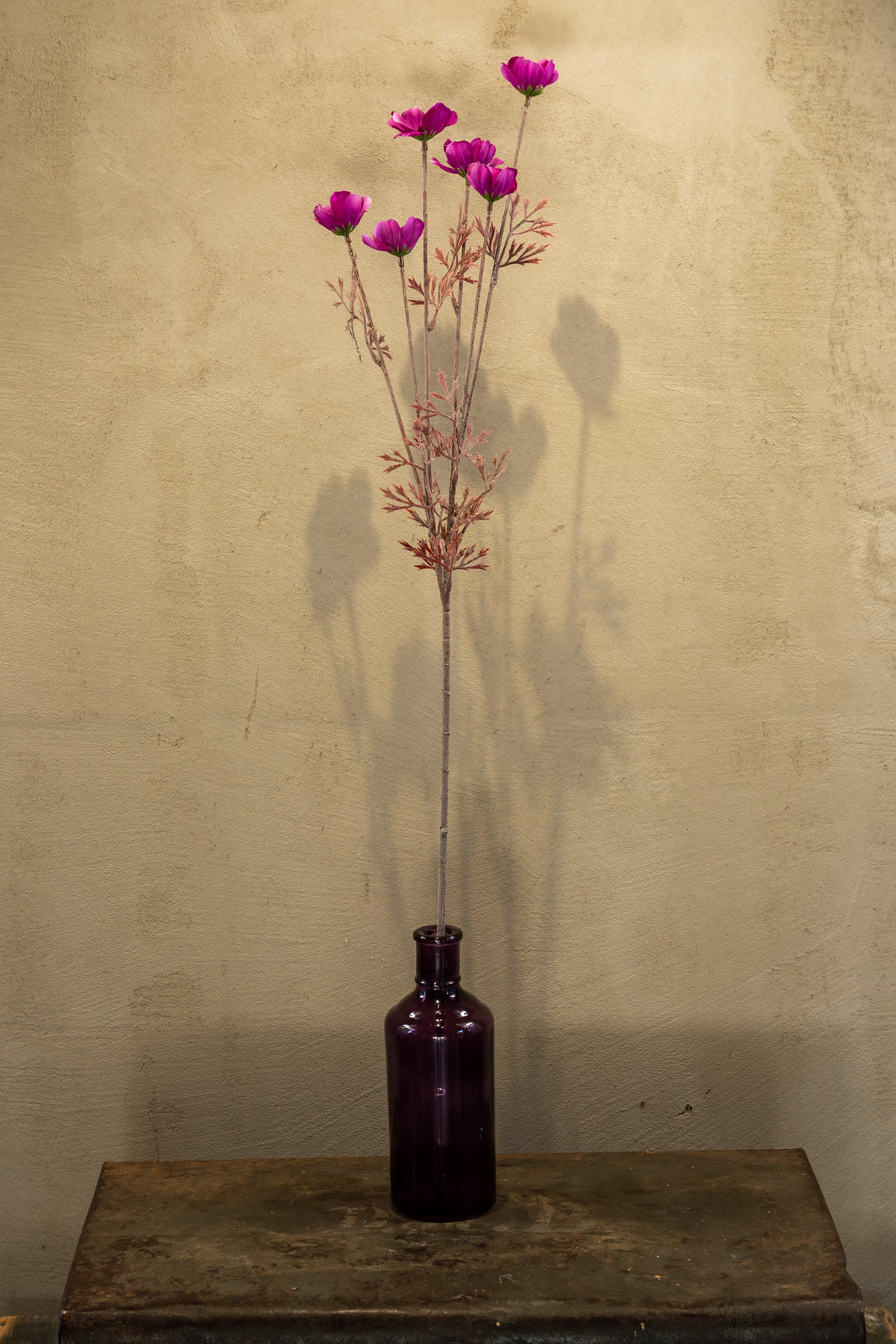 Fuchsie 77cm