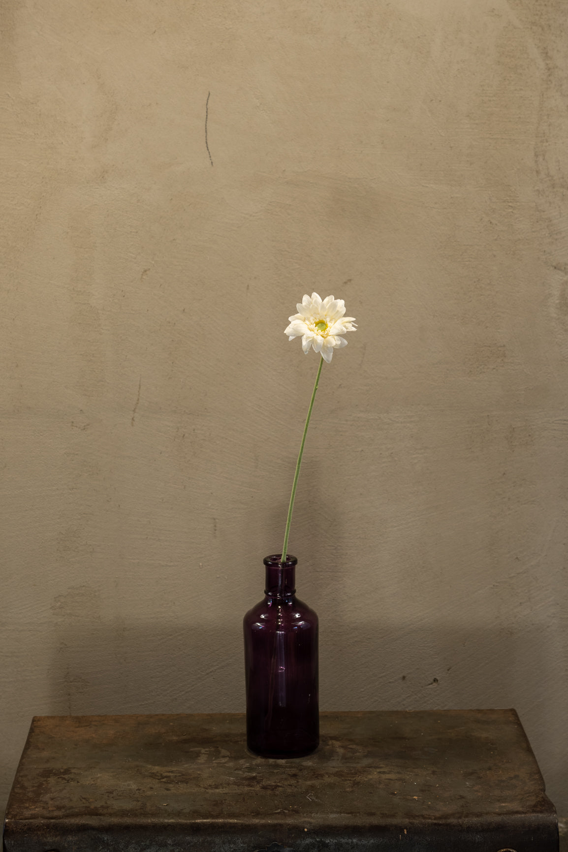 Gerbera mini 47cm