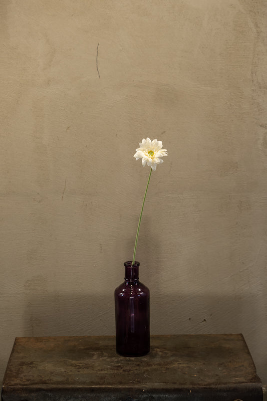 Gerbera mini 47cm