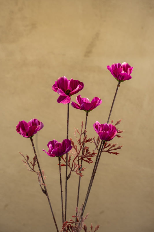 Fuchsie 77cm