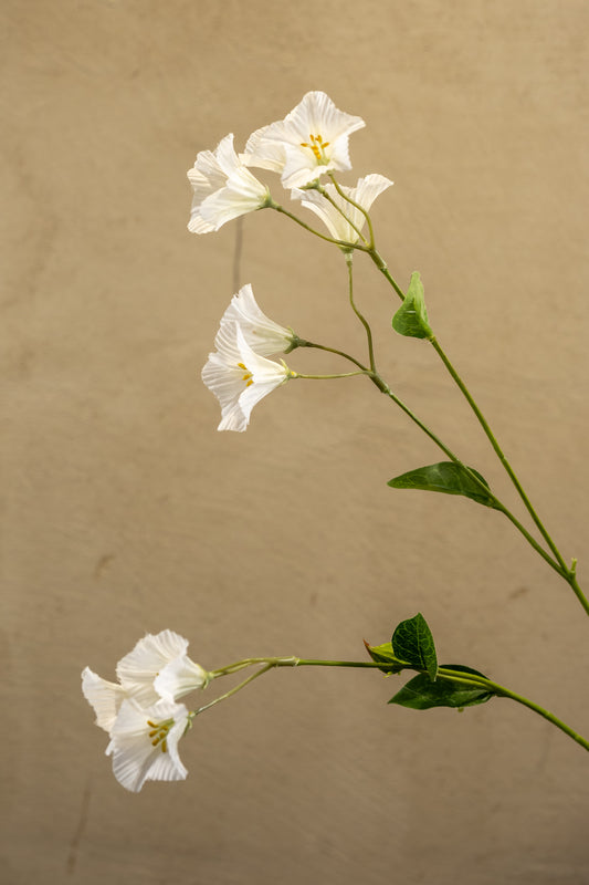 Campaluna zvonek 74cm