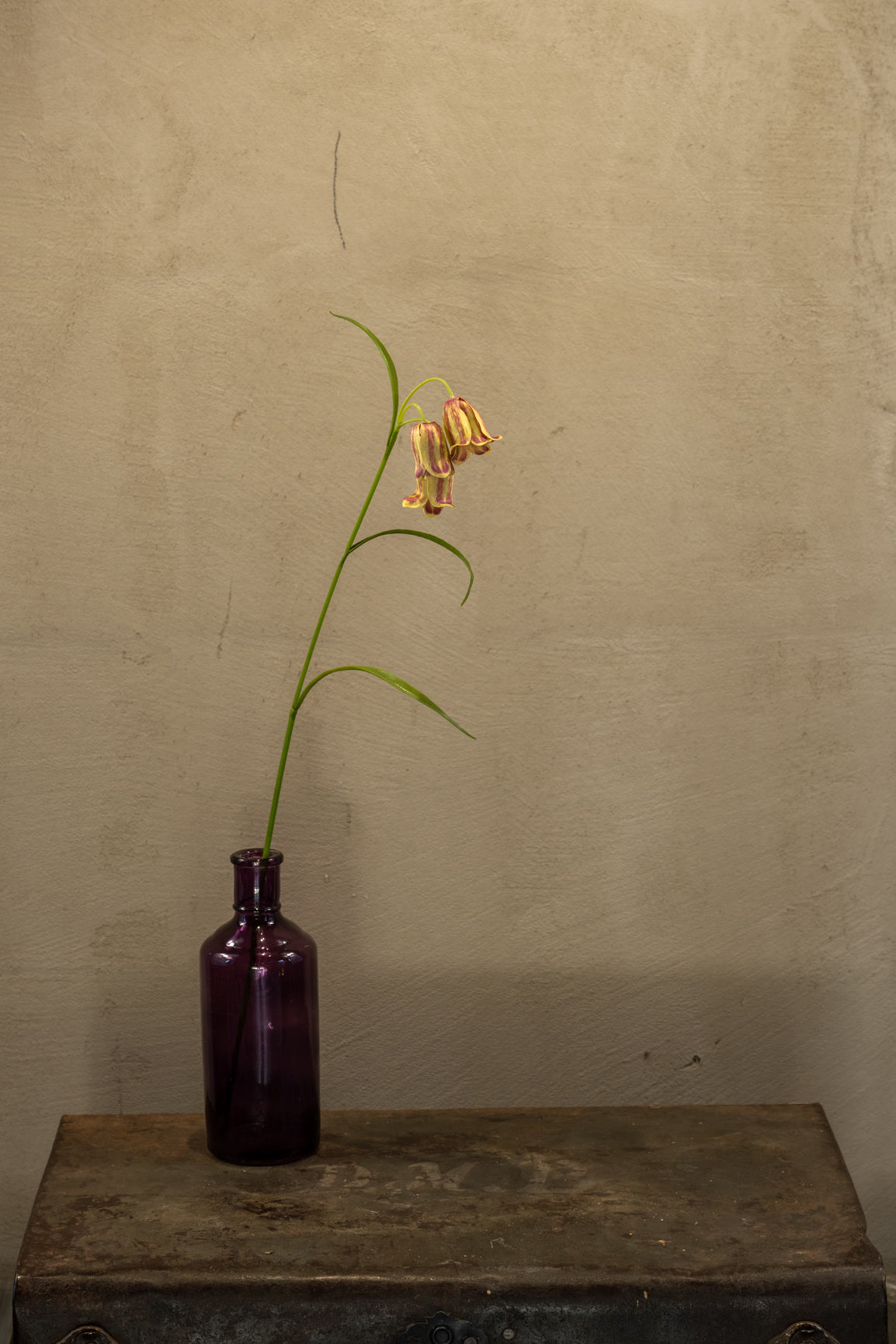 Zvonek Řebčík 58cm