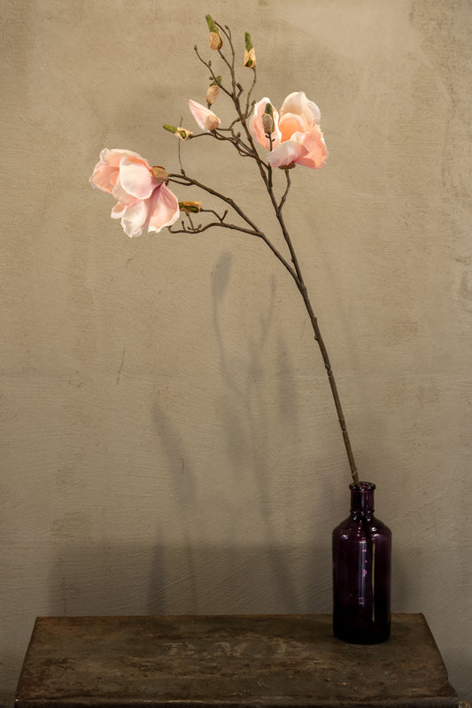 Magnolie 83cm
