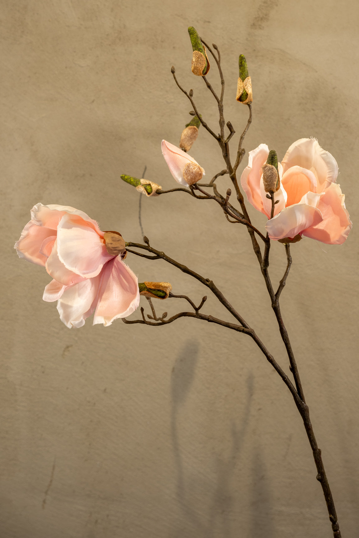 Magnolie 83cm
